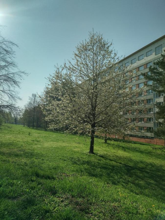 Appartement Flat Lesná Brno Extérieur photo